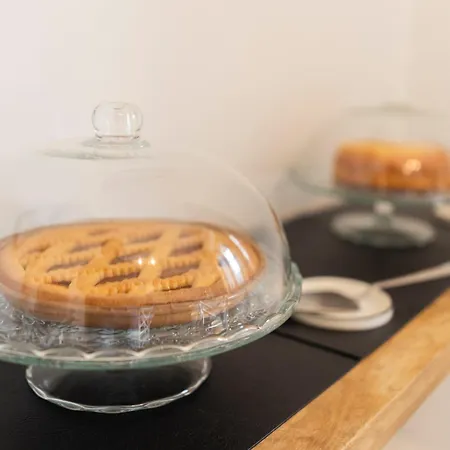 Fly Bed & Breakfast